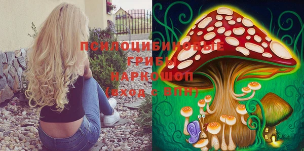 спайс Киреевск